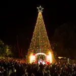 encendido de pino navideño , municipalidad de Laja