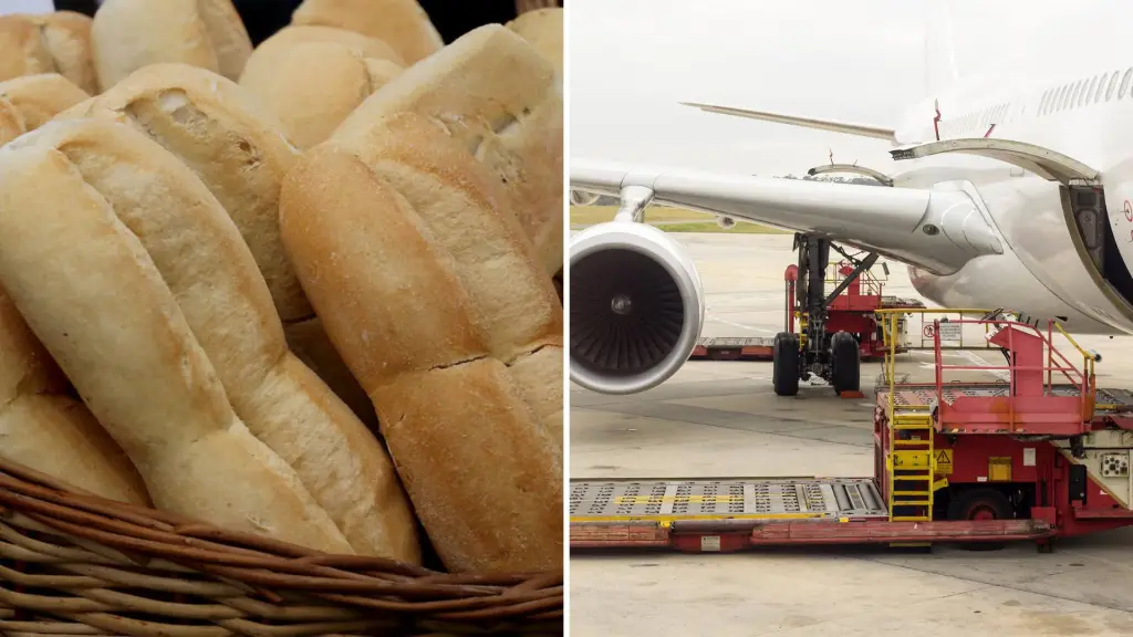 IPC Noviembre, ATON | Referencial