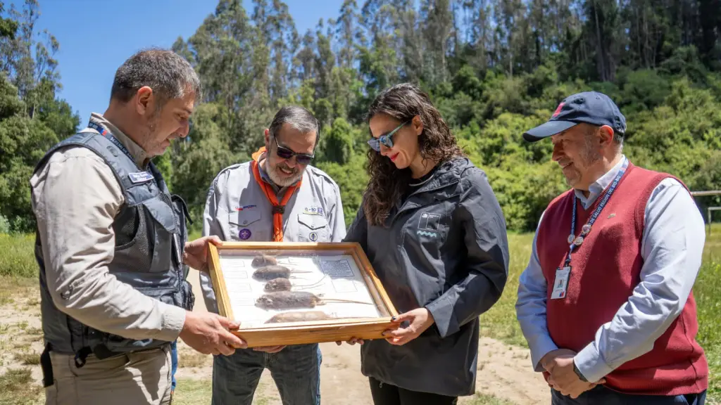 Campaña prevención virus Hanta, Seremi de Salud Biobío