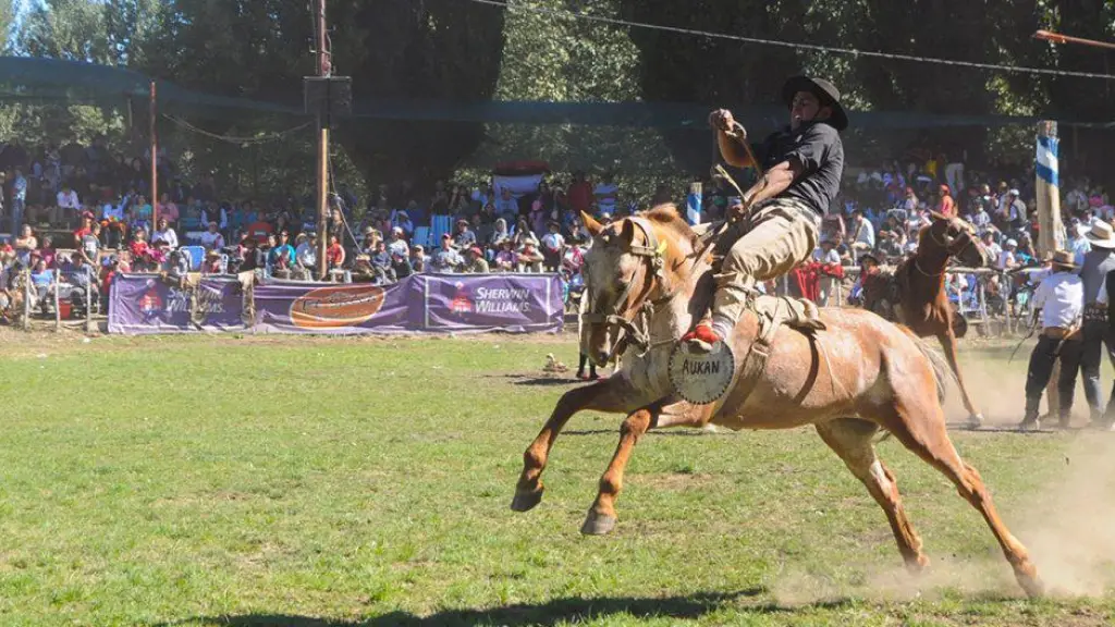 Las caballadas serán parte de la fiesta en Andacollo., Cedida