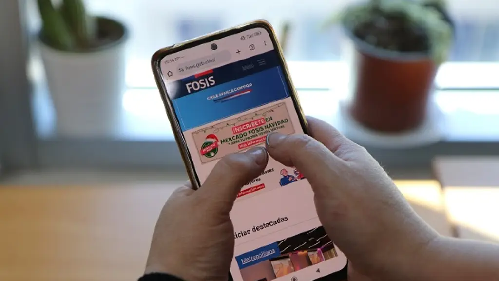 Mercado FOSIS navidad, Cedida