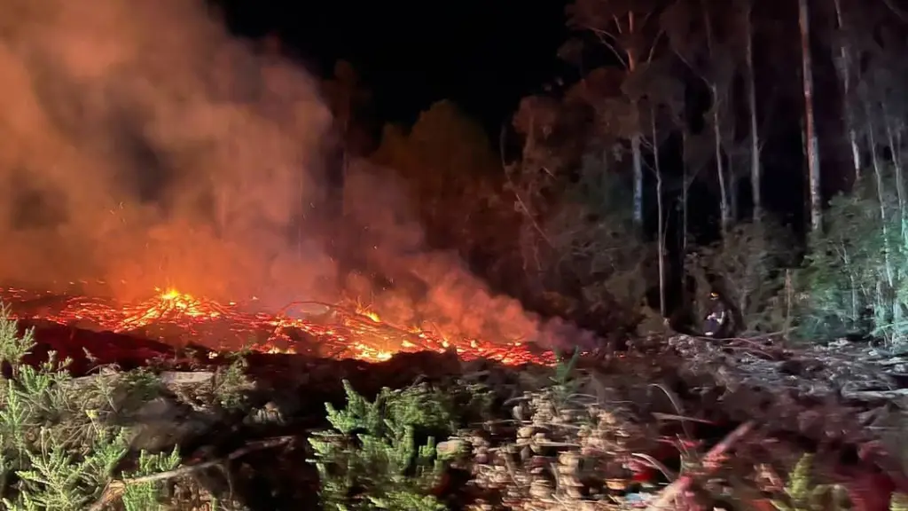 Incendio controlado en Chiguayante 