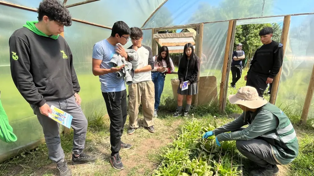 Alumnos del Liceo Agrícola de Negrete se capacitan con el SAG en prospección fitosanitaria, Cedida