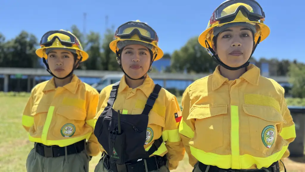 Las hermanas brigadistas Yanet, Gabriela y Viviana Calpán, de CMPC, CMPC