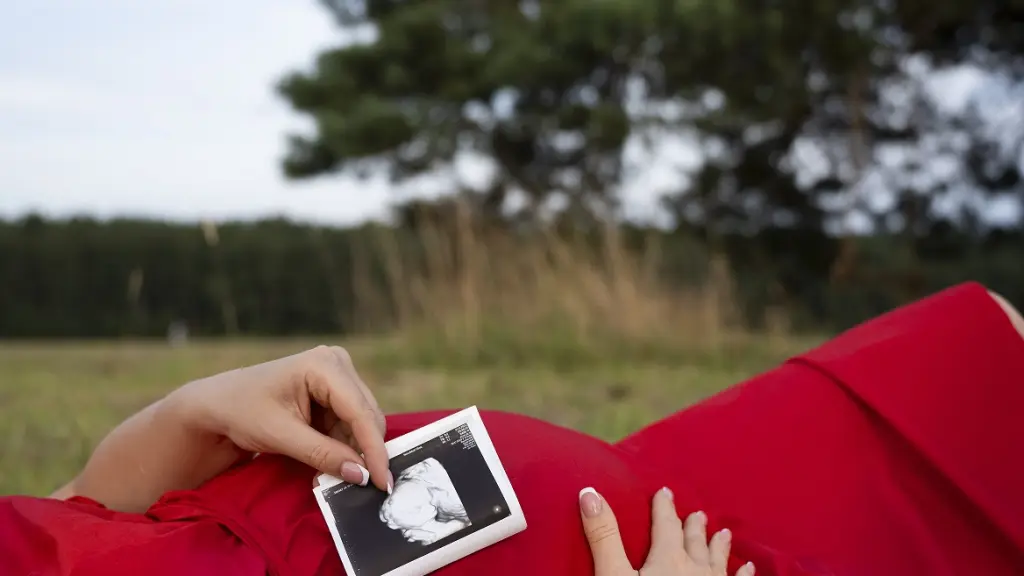 Podrían ocurrir mayores complicaciones cuando empiezan los peaks de temperaturas altas, especialmente cuando las mujeres están en el tercer trimestre de embarazo., freepik.es