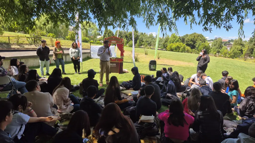 La depresión lidera las preocupaciones de la juventud en la región del Biobío, INJUV