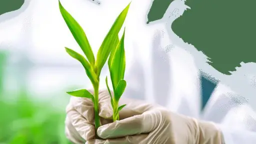 China y Chile fortalecen su colaboración para impulsar la biotecnología agrícola