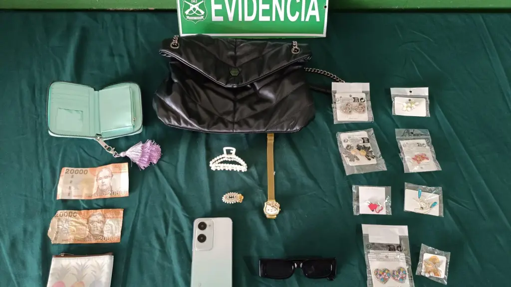 Mujer detenida por robo de celular