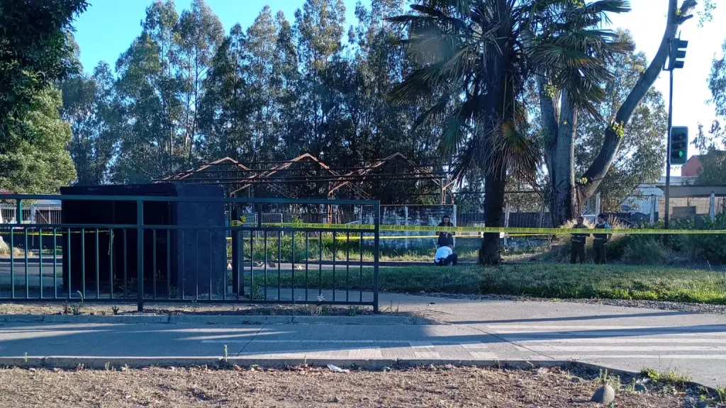 Diligencias por hombre herido a bala, La Tribuna