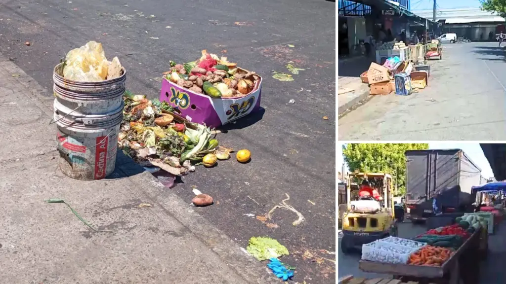 Vecina denuncia situación de basura en La Vega