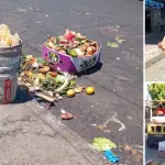 Vecina denuncia situación de basura en La Vega