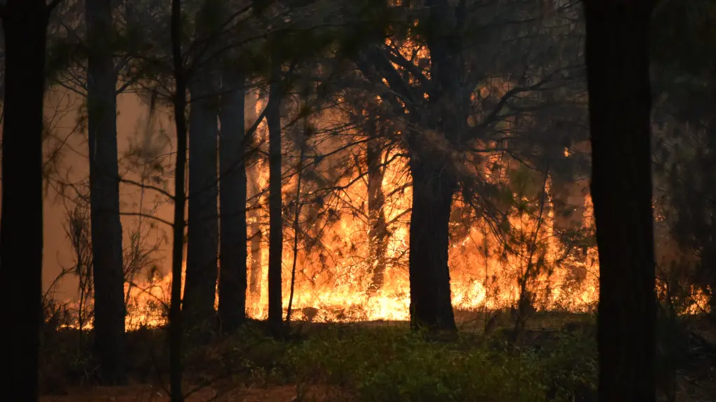 La región cuenta con 11 equipos aéreos y 42 brigadas especializadas para combatir incendios. 