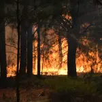 La región cuenta con 11 equipos aéreos y 42 brigadas especializadas para combatir incendios. 