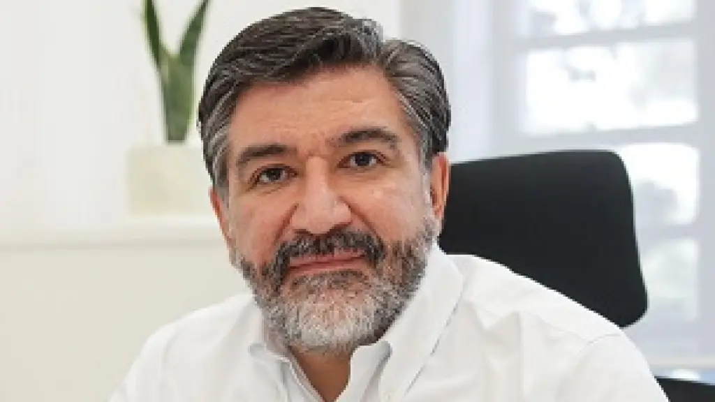 Ricardo Flores, IDIEM