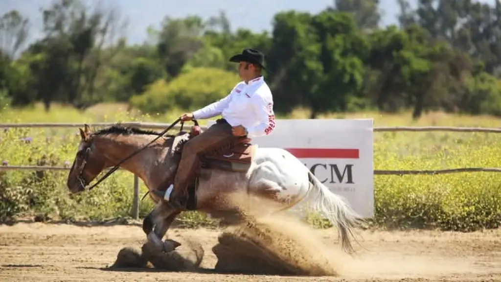 La segunda fecha ecuestre de la Copa Appaloosa/FR Quarter Horses de Reining Chile, La Tribuna