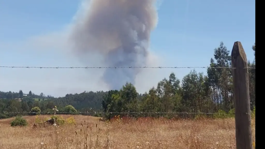 Incendio en Hualqui, Cedida