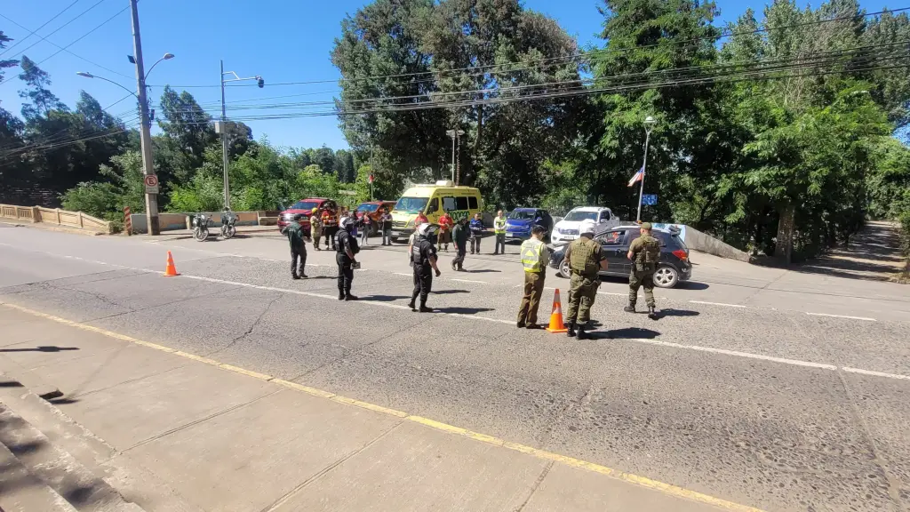 La iniciativa se realizó a la altura del kilómetro 1 de la Ruta Q-77, en Mulchén, Cedida