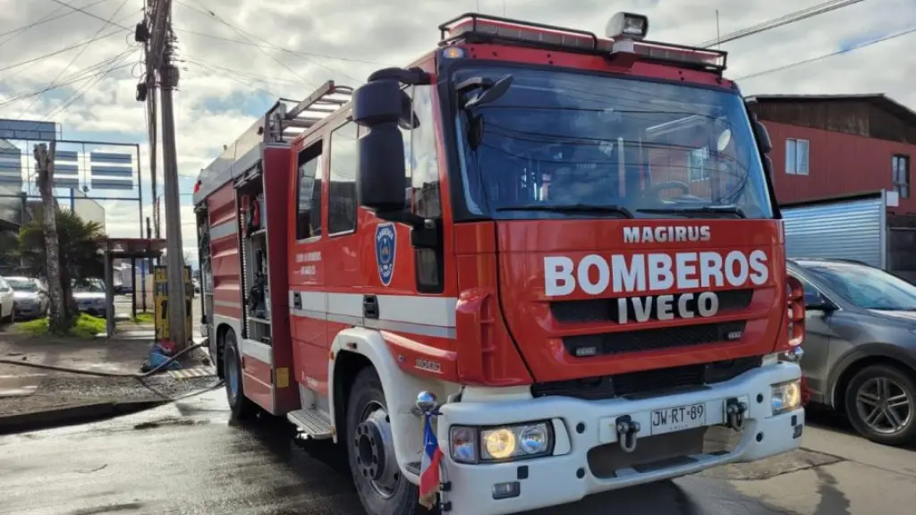 Bomberos Los Ángeles, La Tribuna