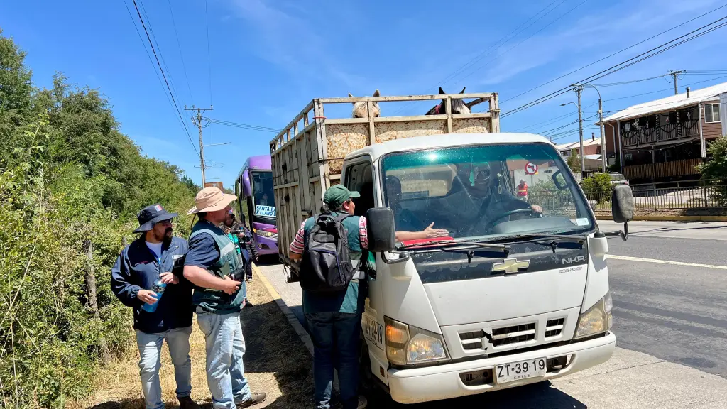 Refuerzan controles carreteros en Biobío para prevenir el abigeato durante las fiestas de fin de año, Cedida