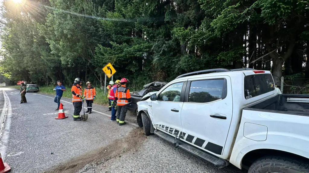 Joven brigadista de conaf fallece en accidente de tránsito