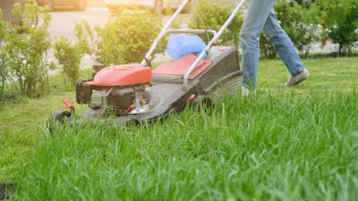 Tragedia en Nacimiento: Aspa de cortadora de pasto cercena cuello de agricultor 