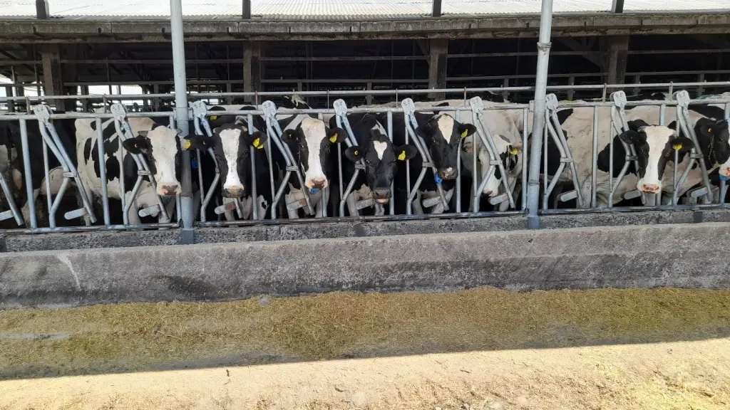 La recepción industrial de leche en Chile aumentó aproximadamente un 3,5% en 2024.  El trabajo de los gremios puede ayudar a que las lecherías se mantengan competitivas y viables, promoviendo la sostenibilidad y defendiendo sus intereses.