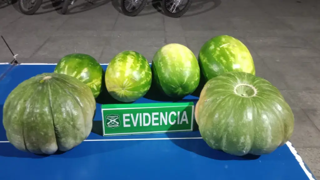 Robaban y escondían en vehículo abandonado, Diario La Tribuna