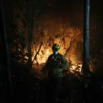 Esta temporada estival se ha registrado un 19% más de incendios forestales en la provincia de Biobío., La Tribuna