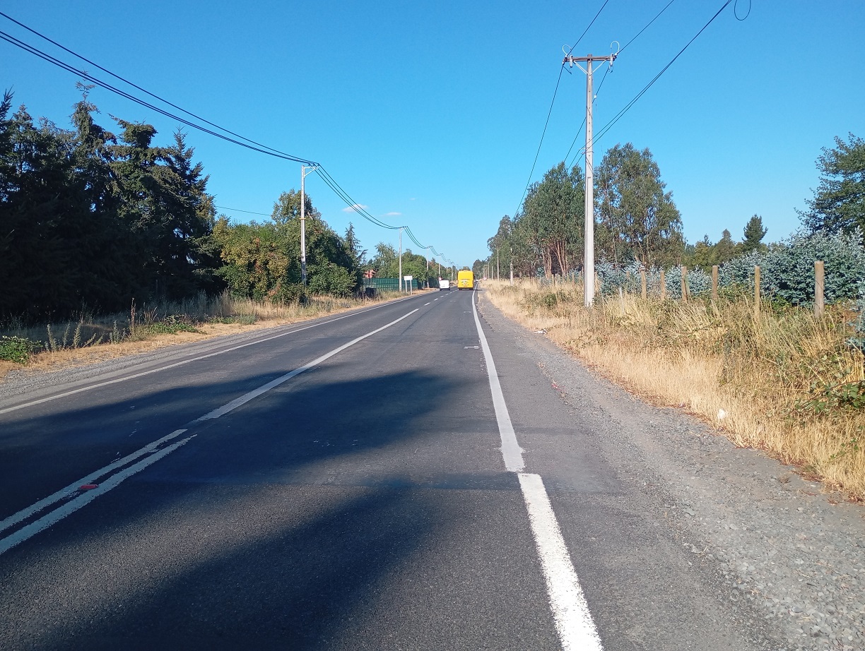 Pastizales en el camino a Cerro Colorado / Nicolás Maureira | La Tribuna