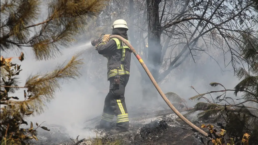Bomberos en acción, Archivo / La Tribuna