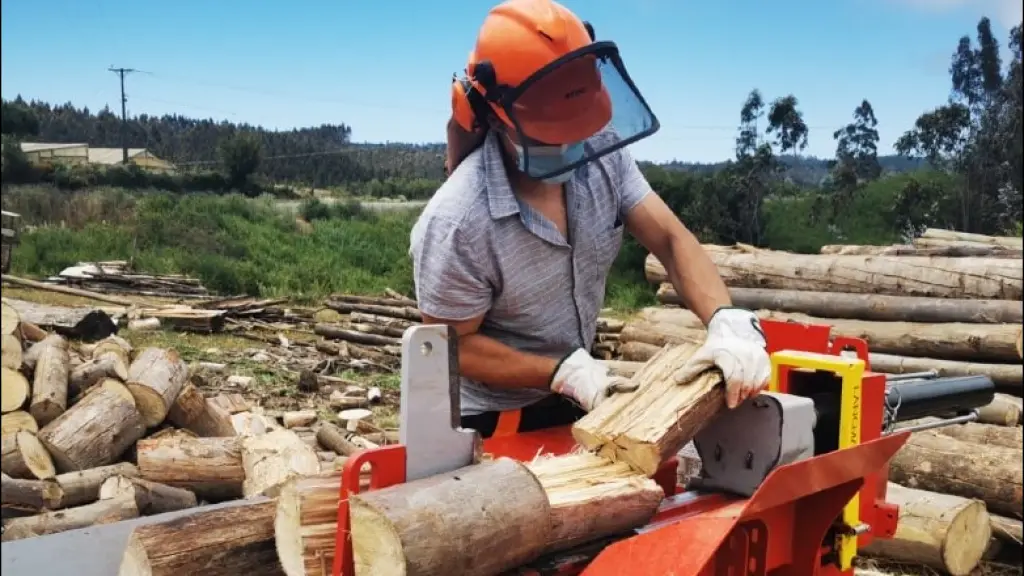 Abren postulaciones para financiamiento de proyectos de leña seca, Cedida