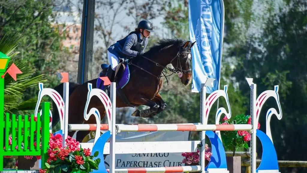 La fiesta ecuestre se concentrará en Haras Santa Amelia de Negrete, La Tribuna