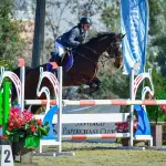 La fiesta ecuestre se concentrará en Haras Santa Amelia de Negrete, La Tribuna