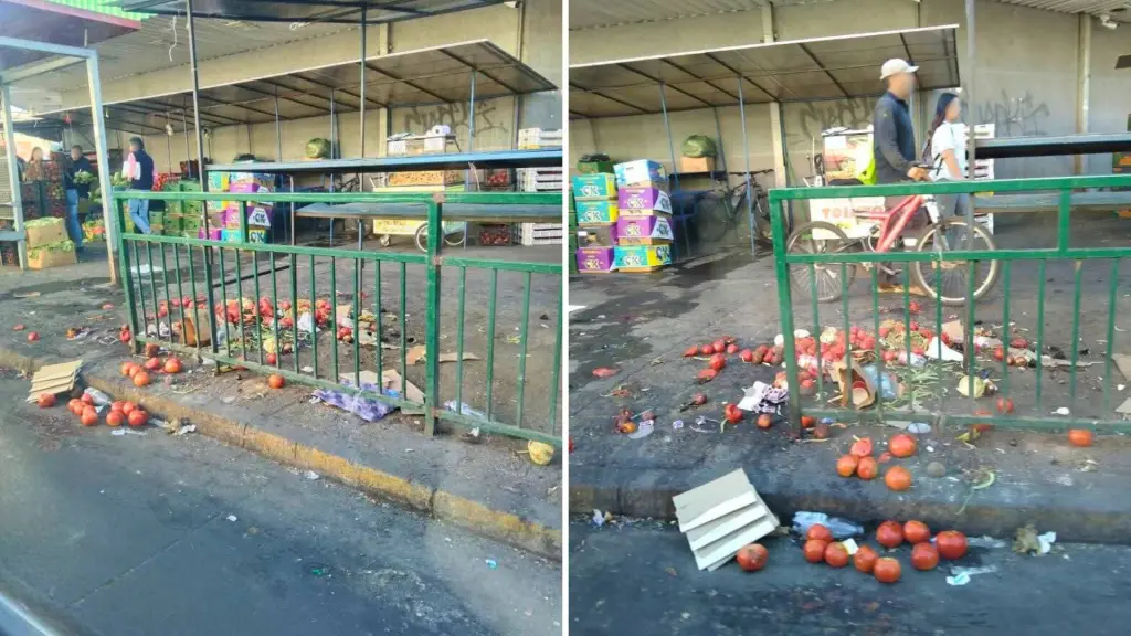 Denuncian basura Vega de Los Ángeles