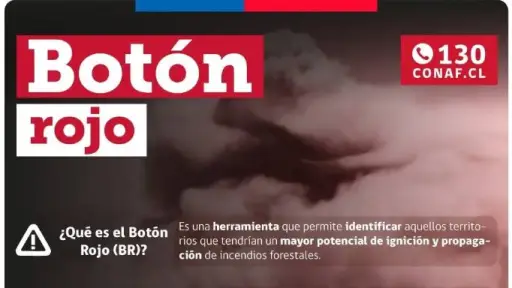 Alerta de Botón Rojo en Antuco por alto riesgo de incendios forestales