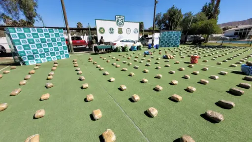 Operativo deja más de 630 kilos de droga incautada en el norte de Chile