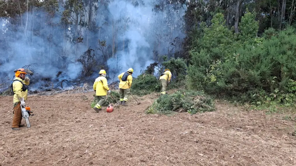 Brigadistas de CMPC trabajando en una de las emergencias registradas este domingo., CMPC