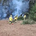 Brigadistas de CMPC trabajando en una de las emergencias registradas este domingo., CMPC