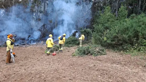 Botón Rojo en Antuco e incendios forestales en Biobío, Maule y La Araucanía marcan este fin de semana 