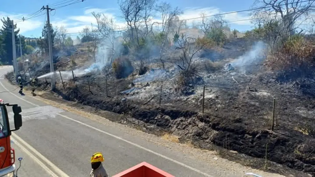 Bomberos logran contener incendio forestal en Río Claro , Cedida