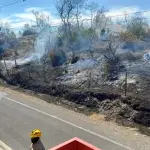 Bomberos logran contener incendio forestal en Río Claro , Cedida