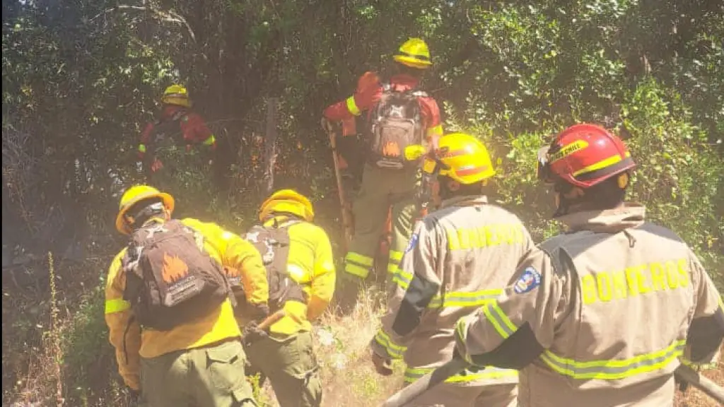 La emergencia en el sector Turquía movilizó a brigadistas forestales, pero principalmente a los integrantes de la Brigada de Emergencia y Ayuda Social del sector., Municipalidad de San Rosendo