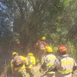 La emergencia en el sector Turquía movilizó a brigadistas forestales, pero principalmente a los integrantes de la Brigada de Emergencia y Ayuda Social del sector., Municipalidad de San Rosendo