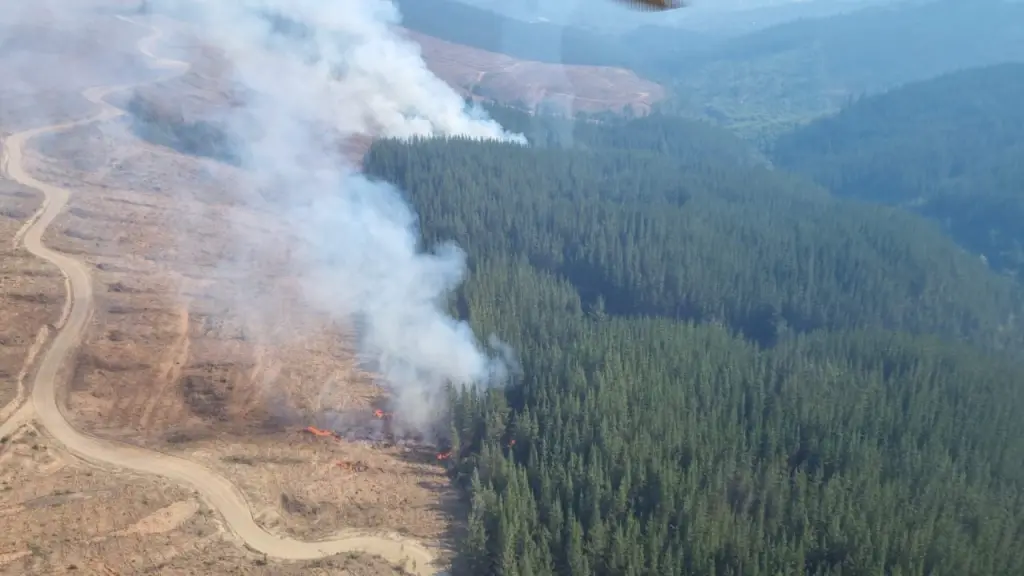 Hacen llamado urgente a extremar precauciones ante ola de calor y riesgo de incendios en Ñuble y Biobío, Cedida