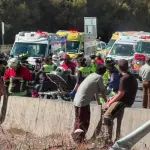 El accidente se registró a la altura del km 40 de la Ruta 160, Municipalidad de Lota