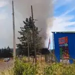 Incendio forestal Chacayal Sur, Cedida