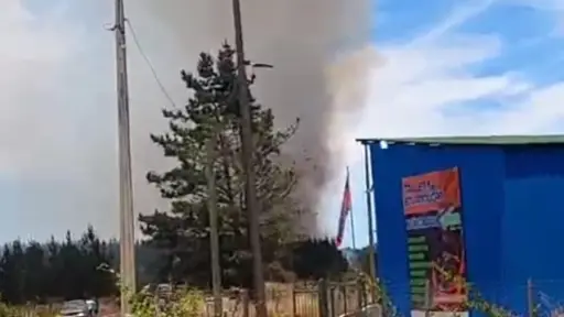 Incendio forestal amenazó con destruir viviendas en Los Ángeles