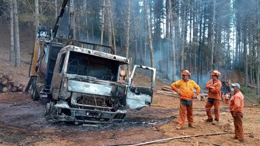 Reducción de atentados en la Macrozona Sur: Gremio forestal advierte sobre normalidad anómala