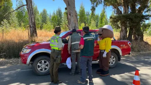 Carabineros de Mulchén entregan recomendaciones para evitar incendios forestales 