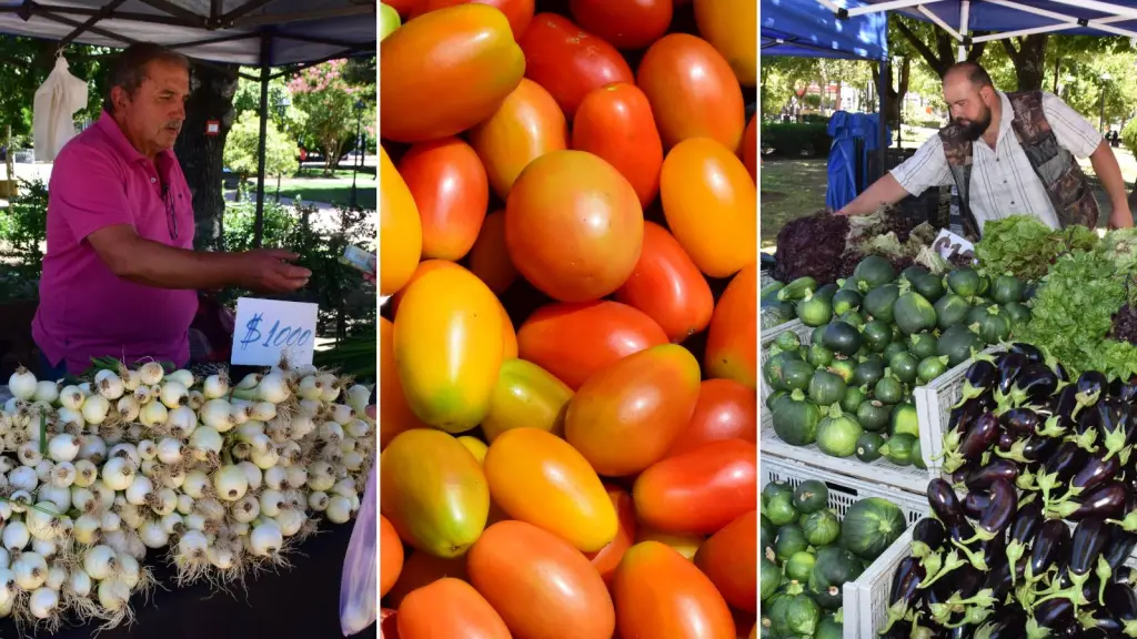 Feria Campesina Biobío 2025 continuará funcionando en febrero en el corazón de Los Ángeles, La Tribuna